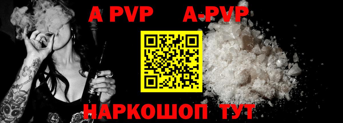 Alfa_PVP СК КРИС Сыктывкар