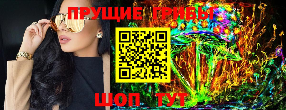 Псилоцибиновые грибы Cubensis Сыктывкар