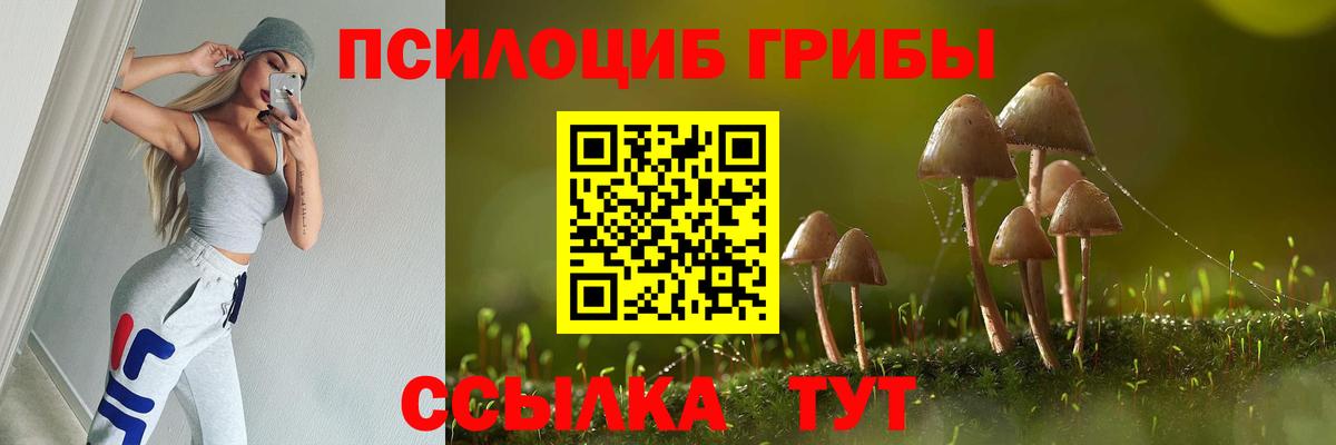 Сыктывкар  Галлюциногенные грибы Psilocybine cubensis  Вход с VPN  Псилоцибиновые грибы мухоморы 